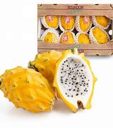 【麒麟火龙单职业传奇bt版下载】麒麟火龙单职业传奇bt私服破解版下载