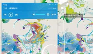 yy伴侣怎么导入其他直播软件的详细步骤解析