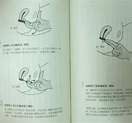 目录不正确 如下图 怎么解决