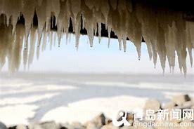 男子建黄色网站赚29元 获刑10年