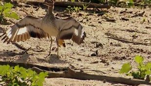 传奇私服地丁老是不掉血