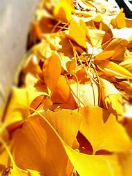 我用的是移动20兆光钎可是玩不了传奇私服 我用的是移动宽带 开传奇私服。对方是移动的就可以