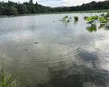 最好的传奇私服1.76