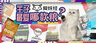 求一个稳定人多的传奇私服最好是1 其中的某一个你肯定玩过