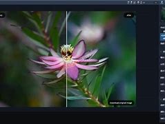 完美登录器使用常见问题解决办法