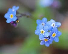 盘点:1.76传奇私服的打金方法,快速变身土豪 盘点:1.76传奇私服的打金方法,快速变身土豪