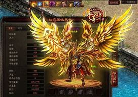 传奇世界极品物品怎么设置 最好是传奇私服物品mingc文件全的