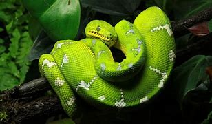 python传奇自动打怪脚本
