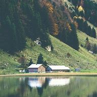 有什么好点的小传奇sf网站 爱问知识人