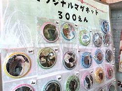 1.80良心合击传奇下载