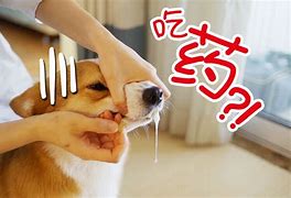 还记得小时候的经典电视剧吗 小时候的经典电视剧还记得吗