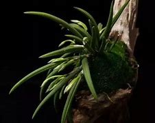 几种常见的怪物 最后一个是我们的老朋友