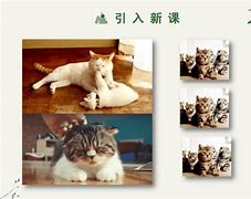第七课如何添加新装备及新装备的补丁制作