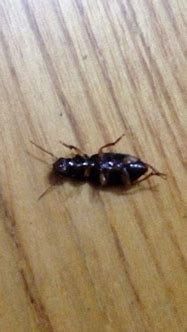 请问有人知道哪里有比较好玩的传奇世界的私服 谢谢推荐一下