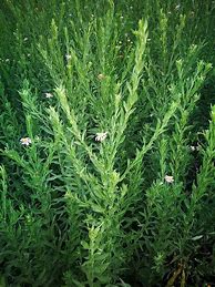 私服的几种消费手段  怎么收的 详细点