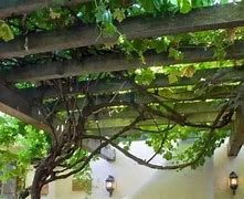 自己搭建一个传奇私服要多久？