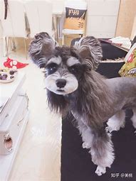 为什么我的小地图上不显示怪物的小红点 为什么我的小地图上不显示怪物红点