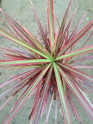 传奇私服怎么设置微端自动更新补丁？