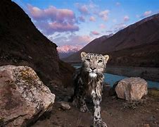 传奇私服生成列表服务