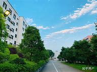 谁知道怎么回事1鼠标有的时候单击就把文件 有时点一下变两下 而且还不能拖拉文件了