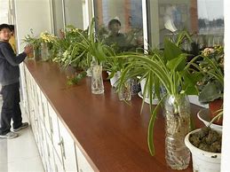 我的电脑为什么不能完传奇私服