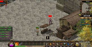 传奇私服佣兵等级