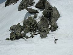 1.85残雪合击传奇版本