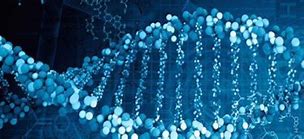 为什么传奇私服上不去只能点恢复人 别的都可以就是一点商铺就卡