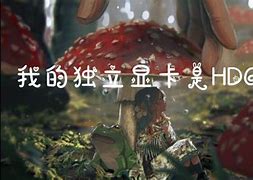 独立显卡玩传奇私服画面卡