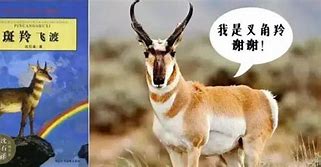 很少有人涉及的领域 没人指导 没有经验 就靠自己摸索了