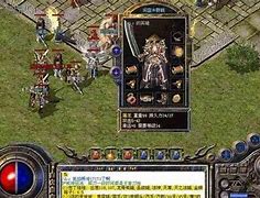 玩传奇私服看不到npc