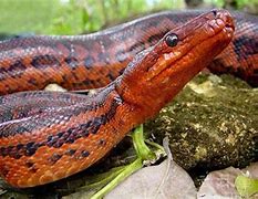 1.85传奇里有没有不用鼠标自动跑的玩传奇私服鼠标不好用怎么回事方法