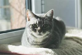 如何把别人的传奇sf版本拿来给自己做gm？