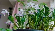 1.76大极品传奇私服
