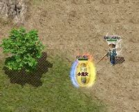 传奇私服的声音播放