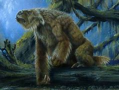 谁能推荐几个比较好玩的  、