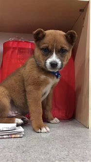 现在还有什么传奇私服好赚钱