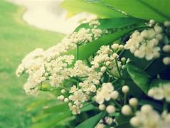 为什么开了传奇私服不能创建角色？