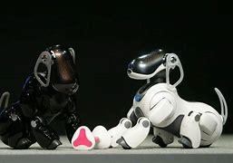 记录当年首富陈天桥的“传奇”之路