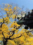 玩了那么多年 你悟出了那些人生哲理