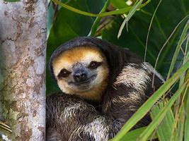 传奇私服断空斩