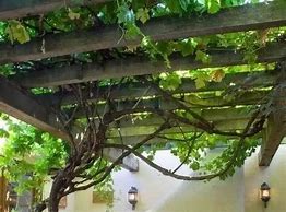 自己搭建一个传奇私服要多久？