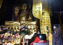 佛本是道公益私服版下载
