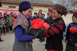 公益猪毛世界第十六季版本