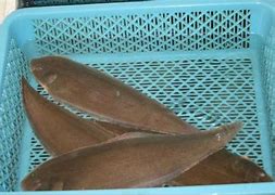 谁能告诉我哪有好的传奇3私服？谁能告诉我哪 – 手机爱问