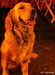 我想自己开个传奇私服自己玩像单机的一样怎么 自己玩 就是单机版的像开个传奇私服那种 请详细介绍软件和操作