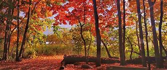 现在的传奇私服不充钱可以玩下去吗？