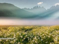 win10玩传奇私服窗口花屏一半黑屏解决方法