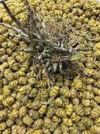 ????Ԫ????????ҵĴ???????