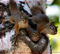 传奇私服总是打开一样的网页与传奇私服